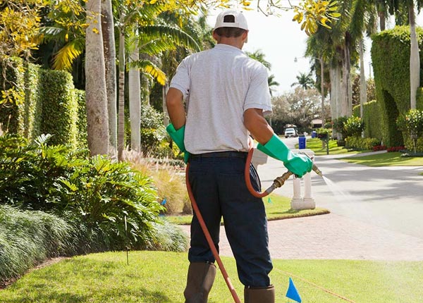 About Prairieville LA Pest Control Pros
